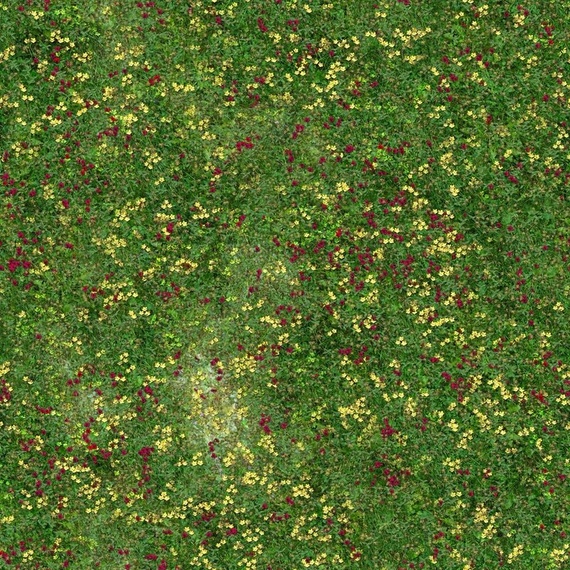 Aerial view of wildflowers