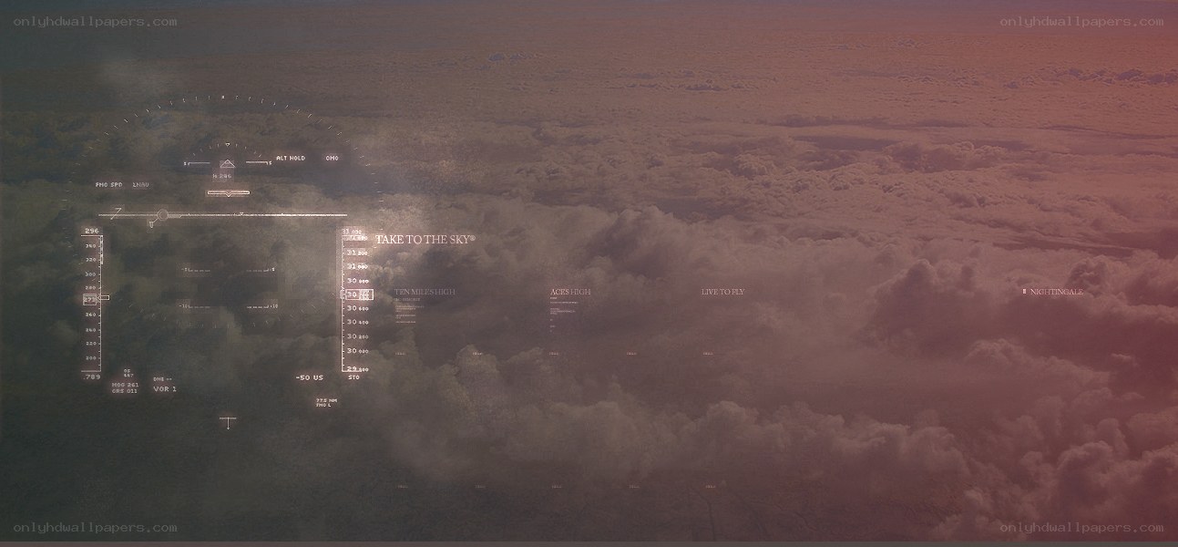 Aerial view with flight HUD
