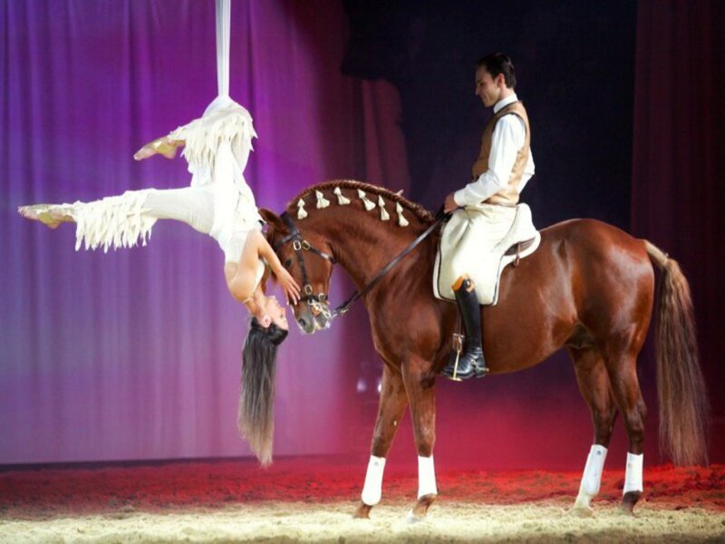 Aerialist and Horse