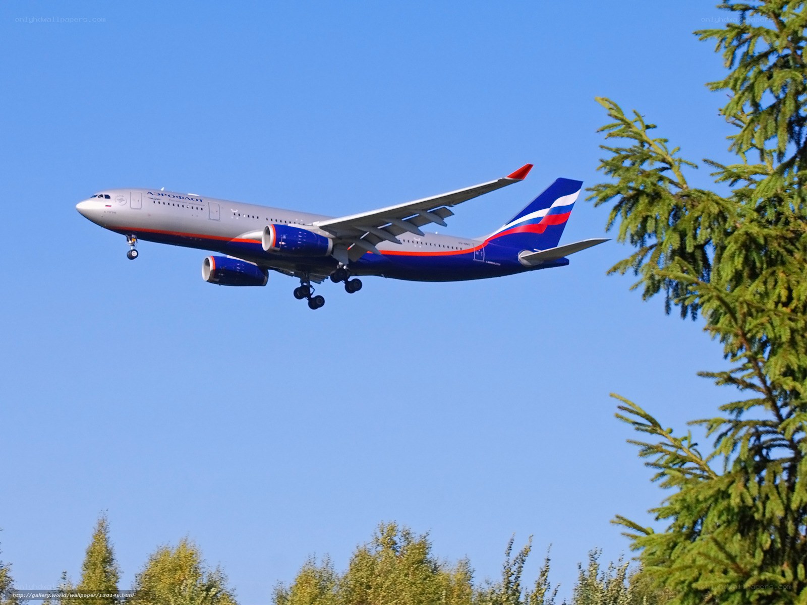 Aeroflot airplane in flight
