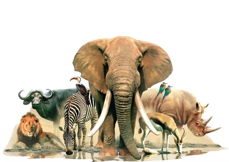 African Animals at Waterhole — Brown