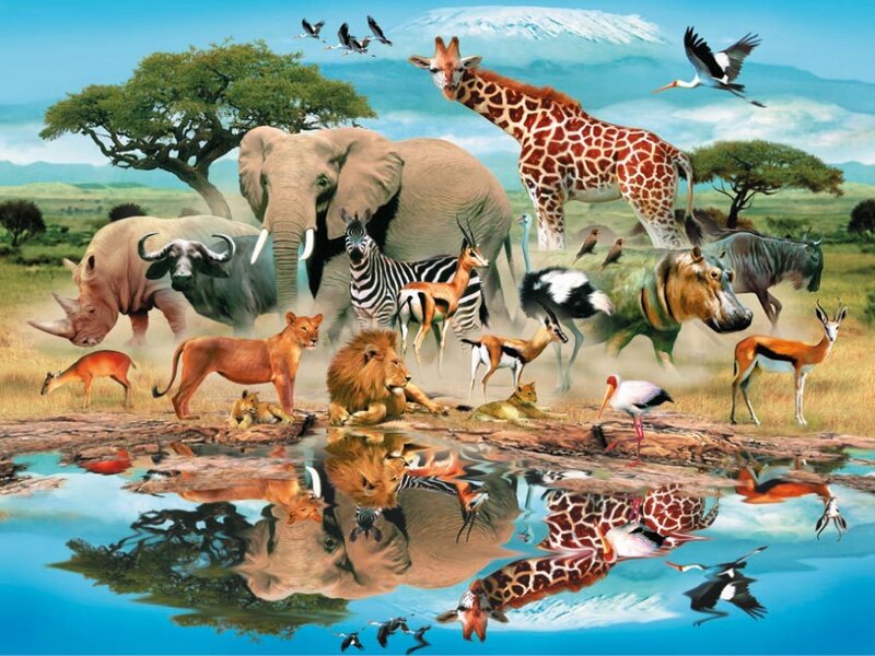 African Animals at Waterhole