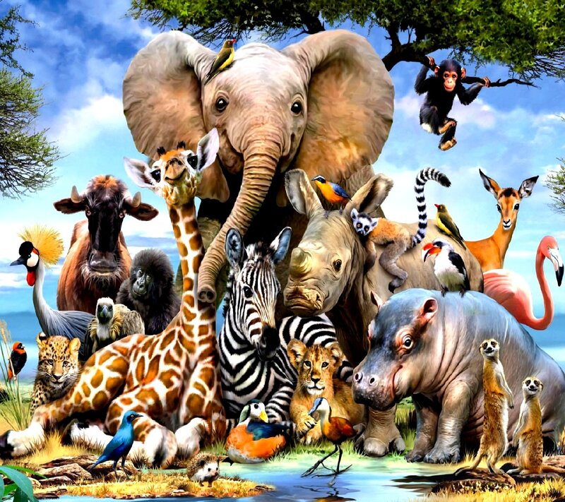 African Animals Gathering