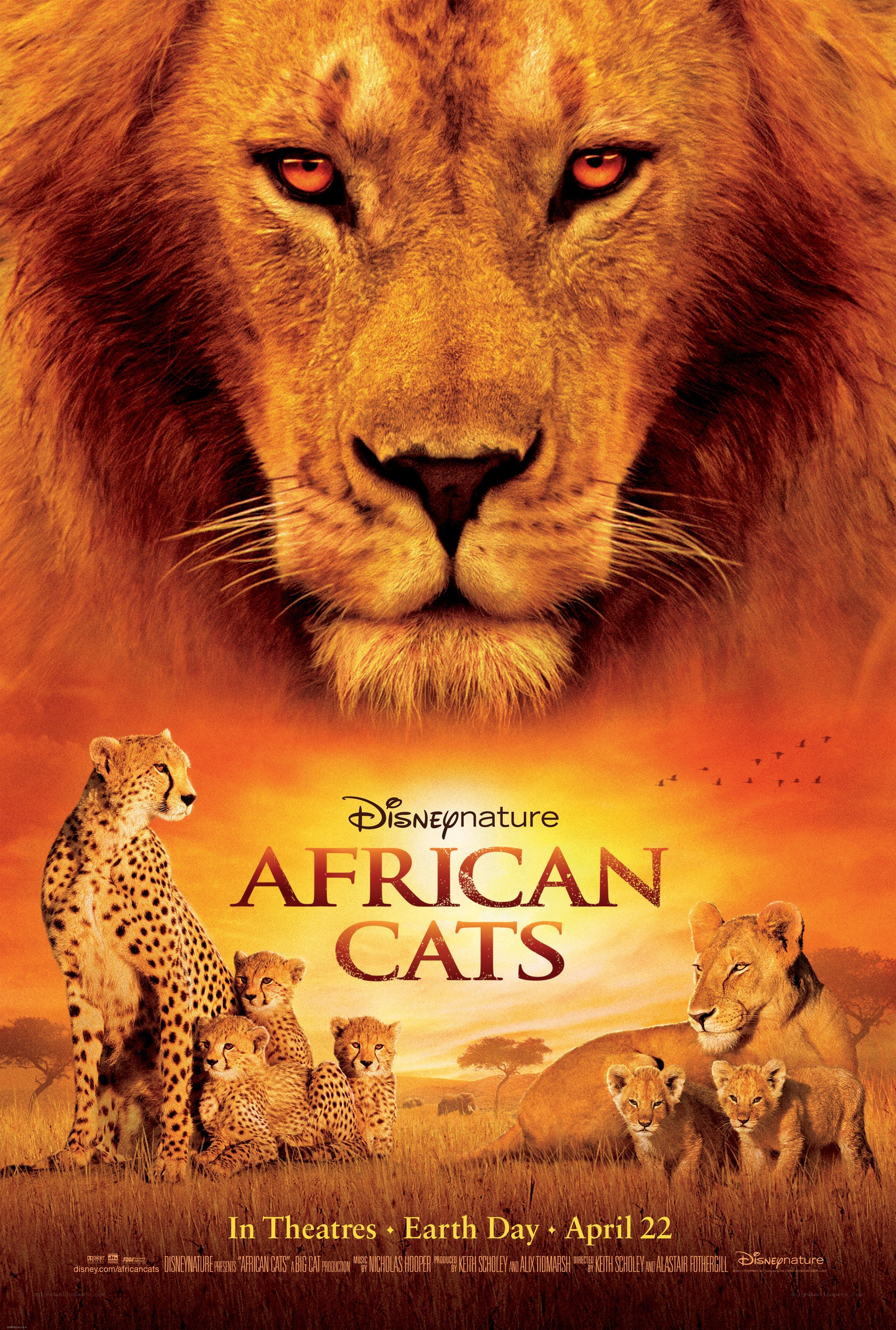 African Cats movie poster