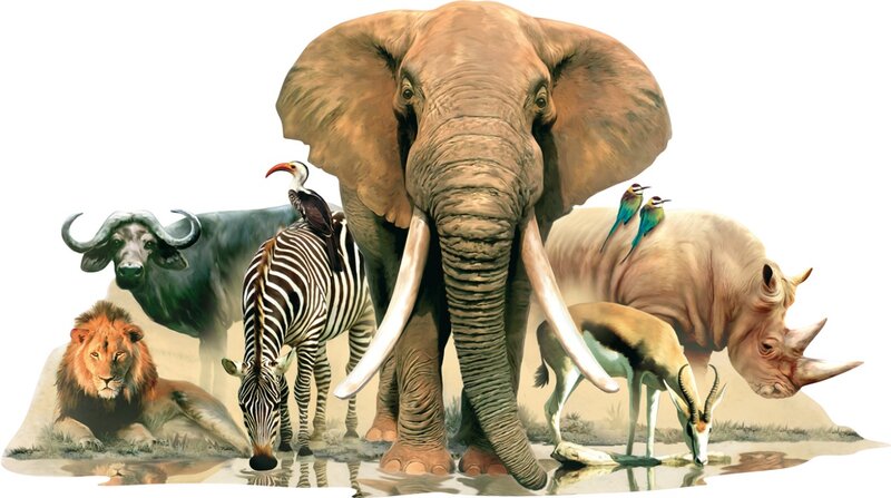 African Savanna Animals — Brown