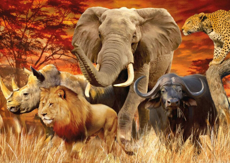 African Savanna Animals — Orange