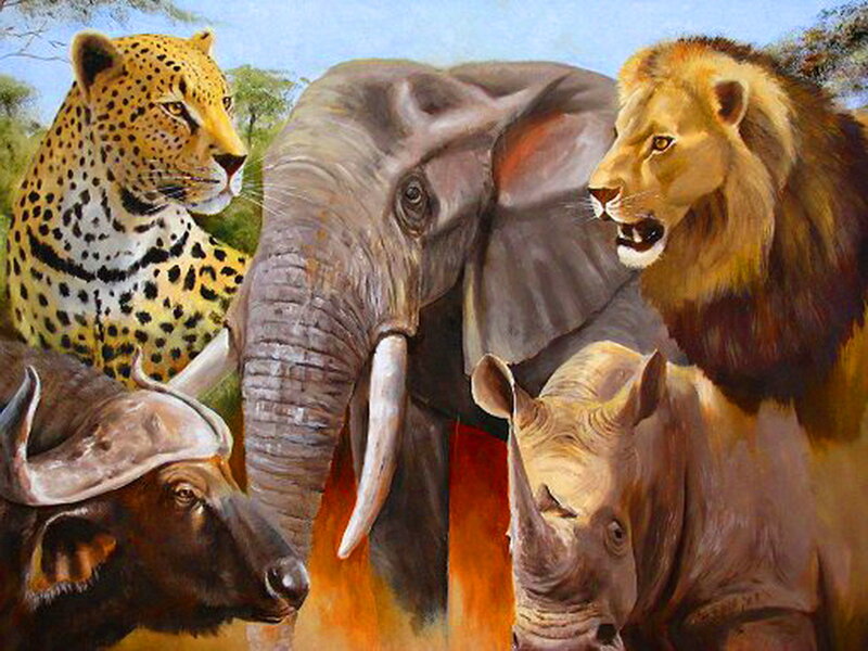 African Savanna Animals