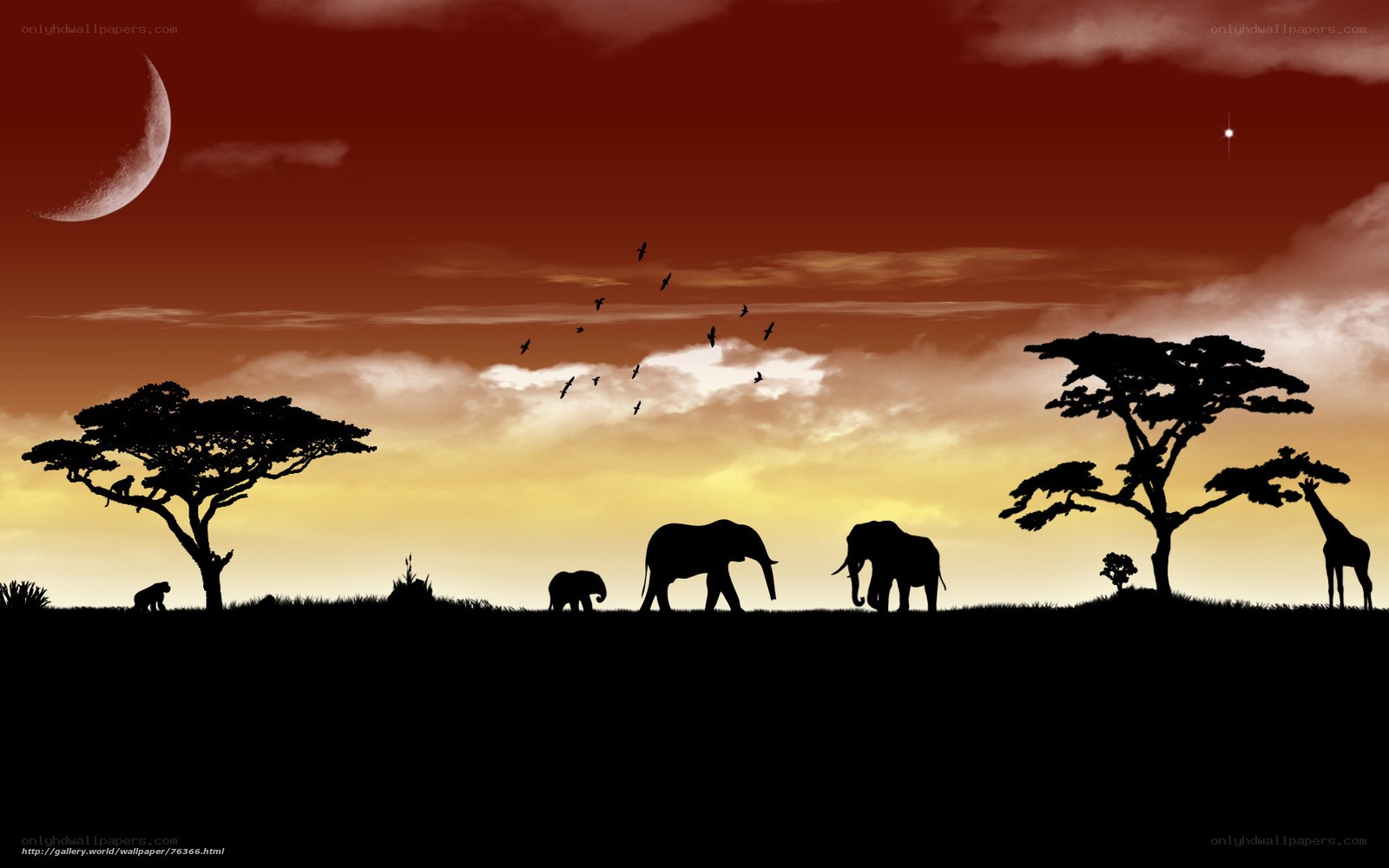 African savanna at dusk