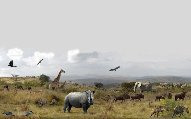 African savanna wildlife scene