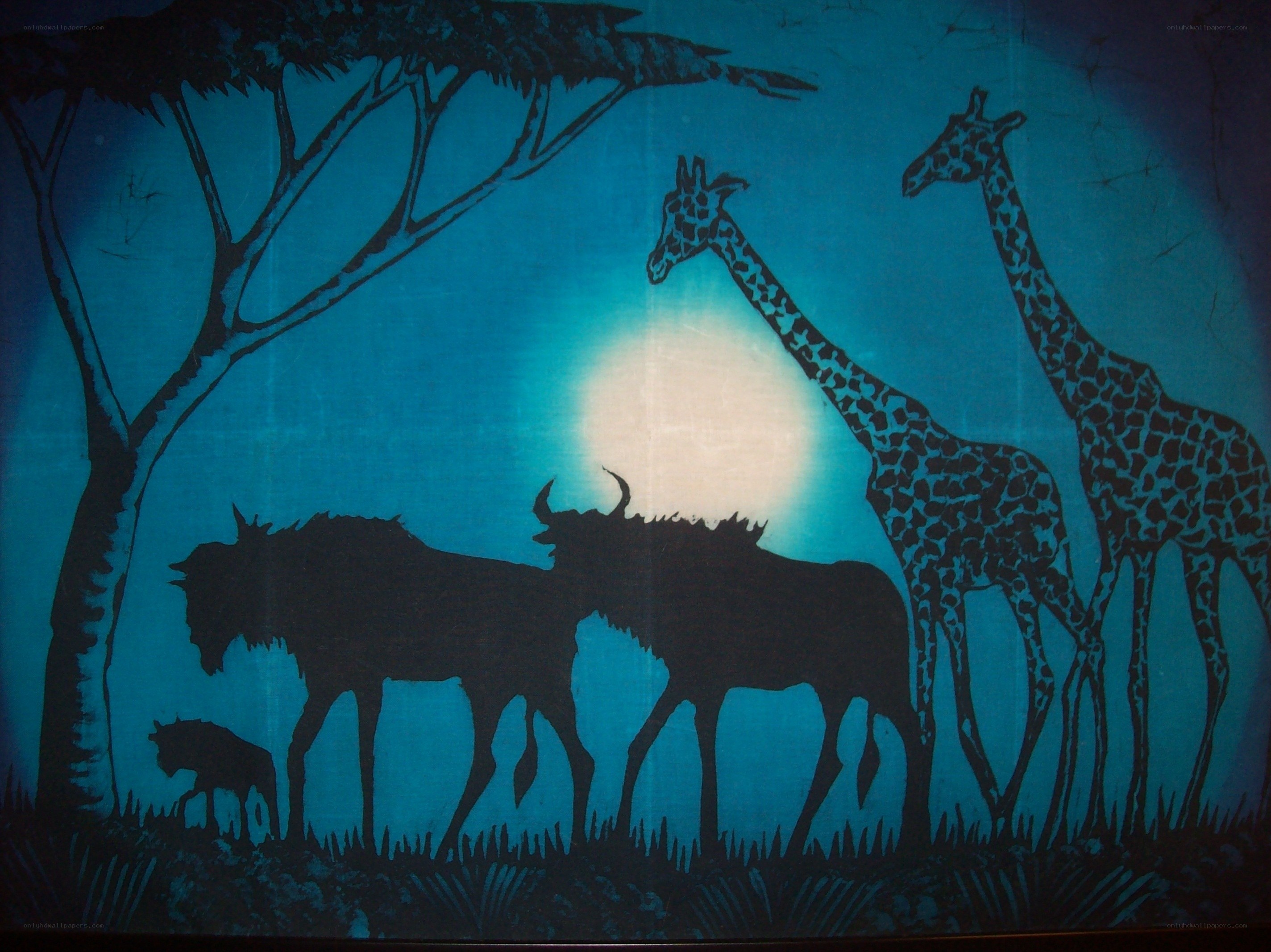 African wildlife at night