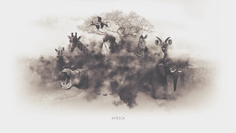 African wildlife collage