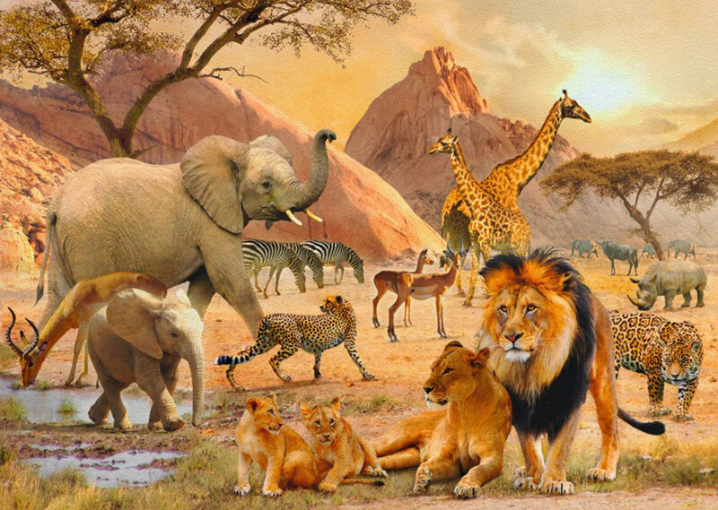 African Wildlife Gathering