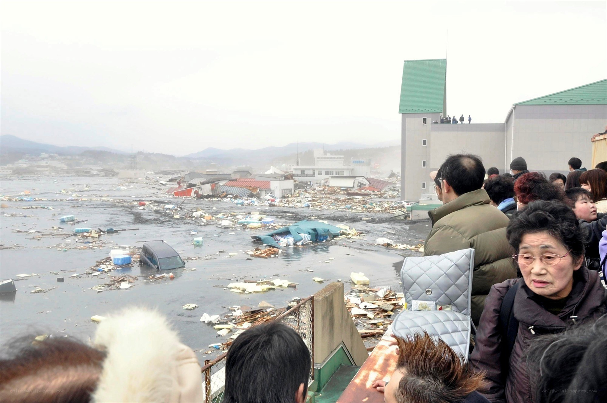 Aftermath of a tsunami disaster
