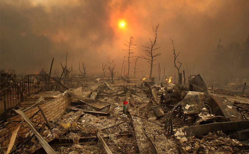 Aftermath of a wildfire