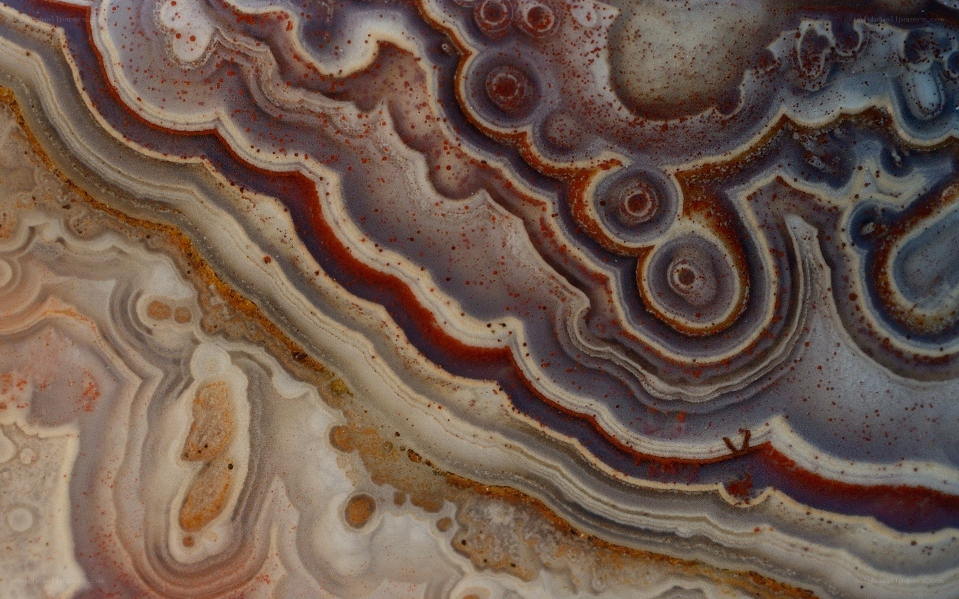 Agate stone cross-section
