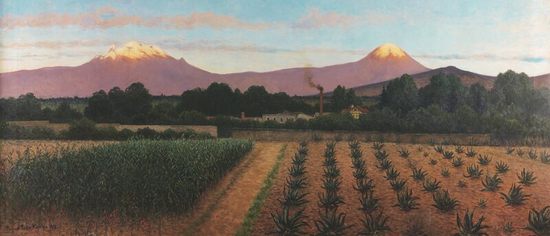 Agave Fields with Mountains