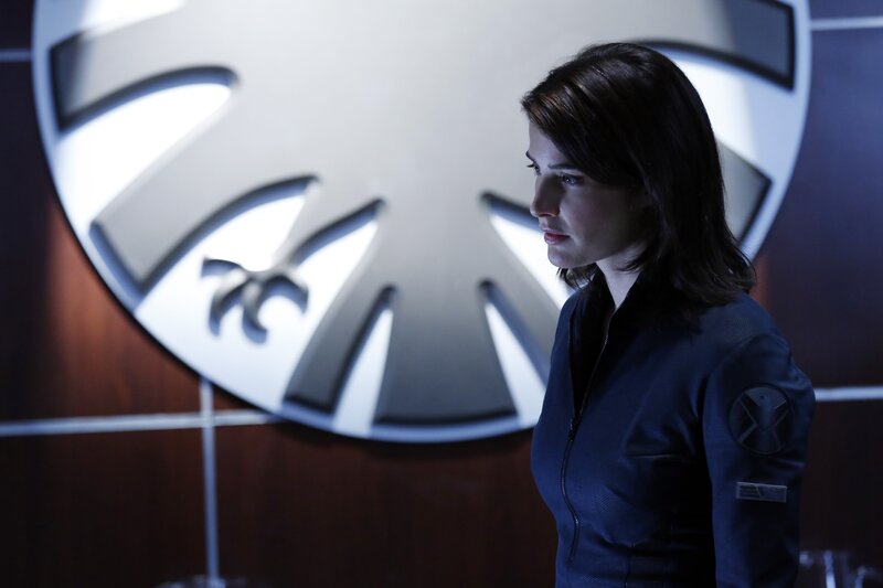 Agent in S.H.I.E.L.D. uniform