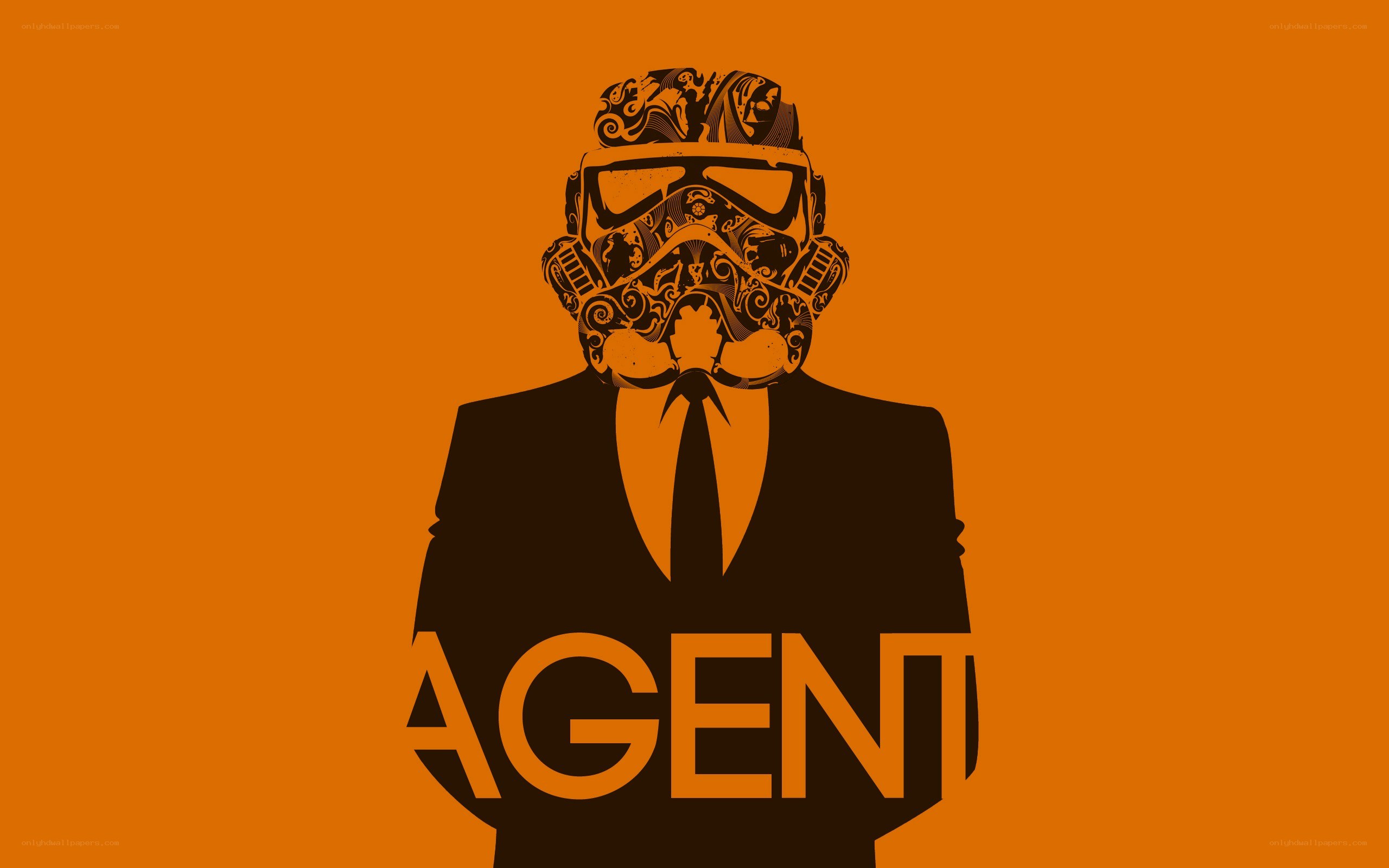 Agent in stormtrooper helmet