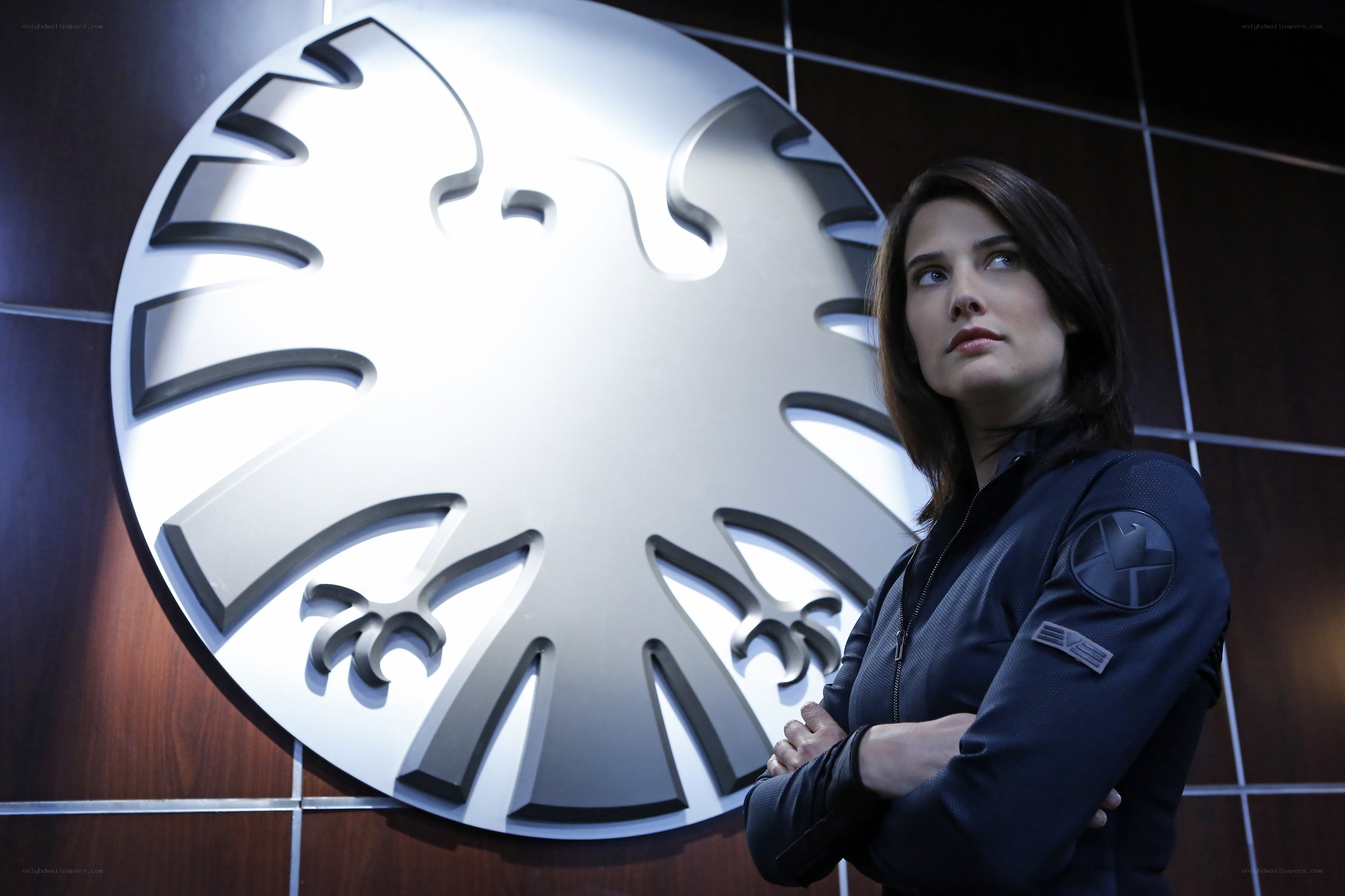 Agent stands before S.H.I.E.L.D. logo