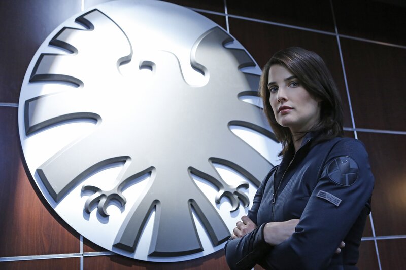 Agent stands by S.H.I.E.L.D. logo