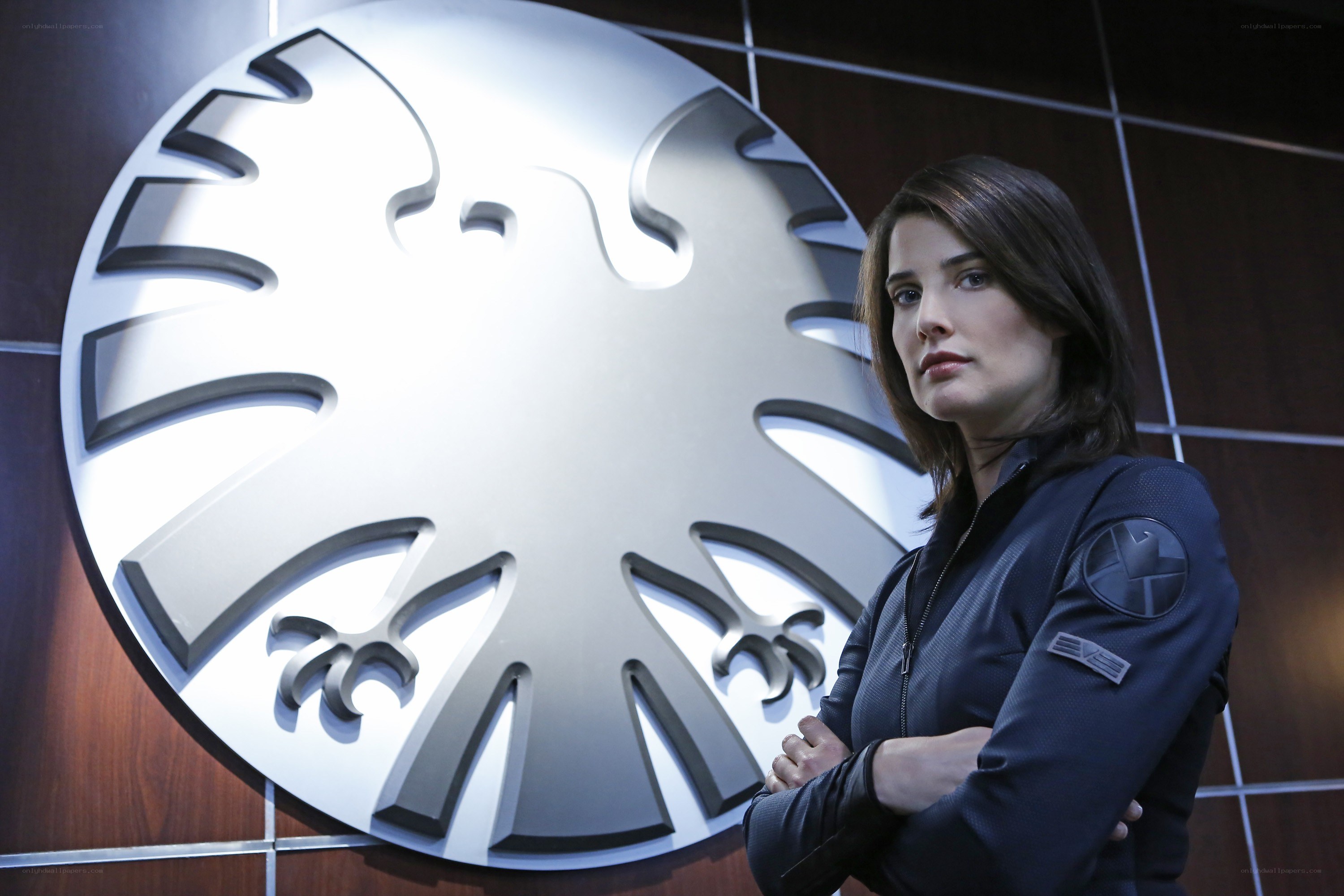 Agent stands by S.H.I.E.L.D. logo