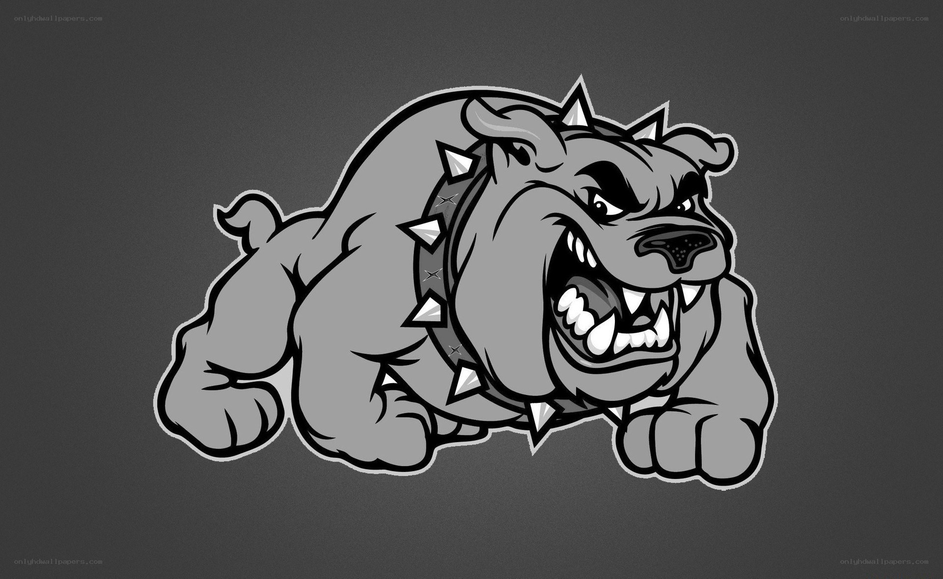 aggressive bulldog mascot
