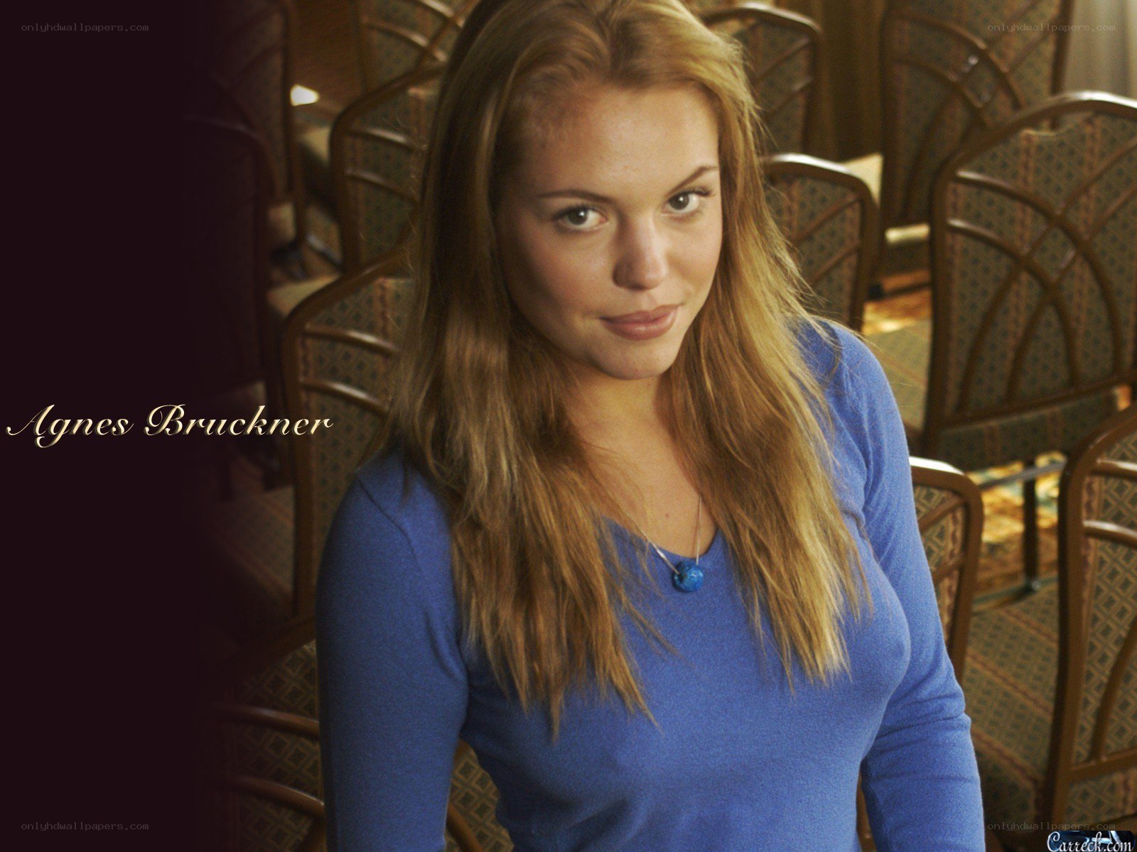 Agnes Bruckner portrait