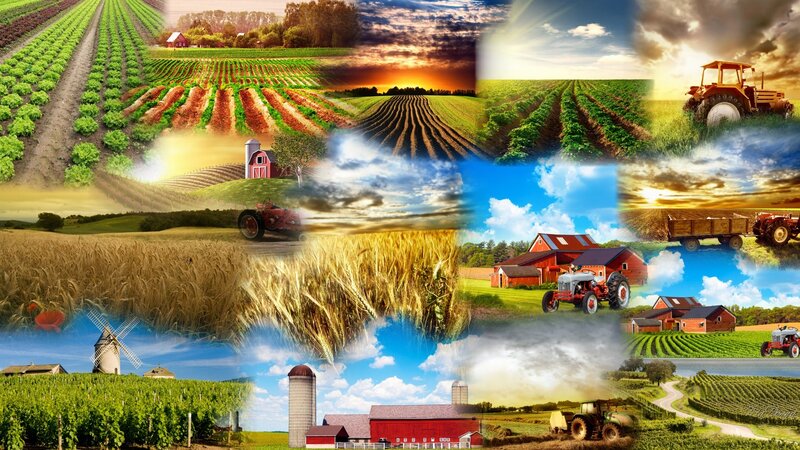 Agricultural Landscape Collage