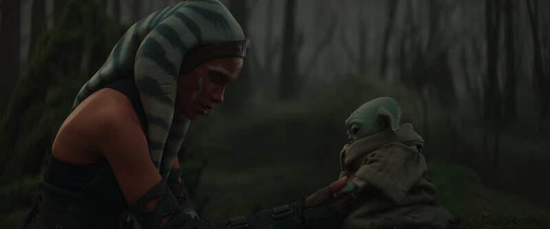 Ahsoka Tano and Grogu