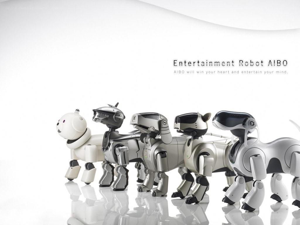 AIBO entertainment robots