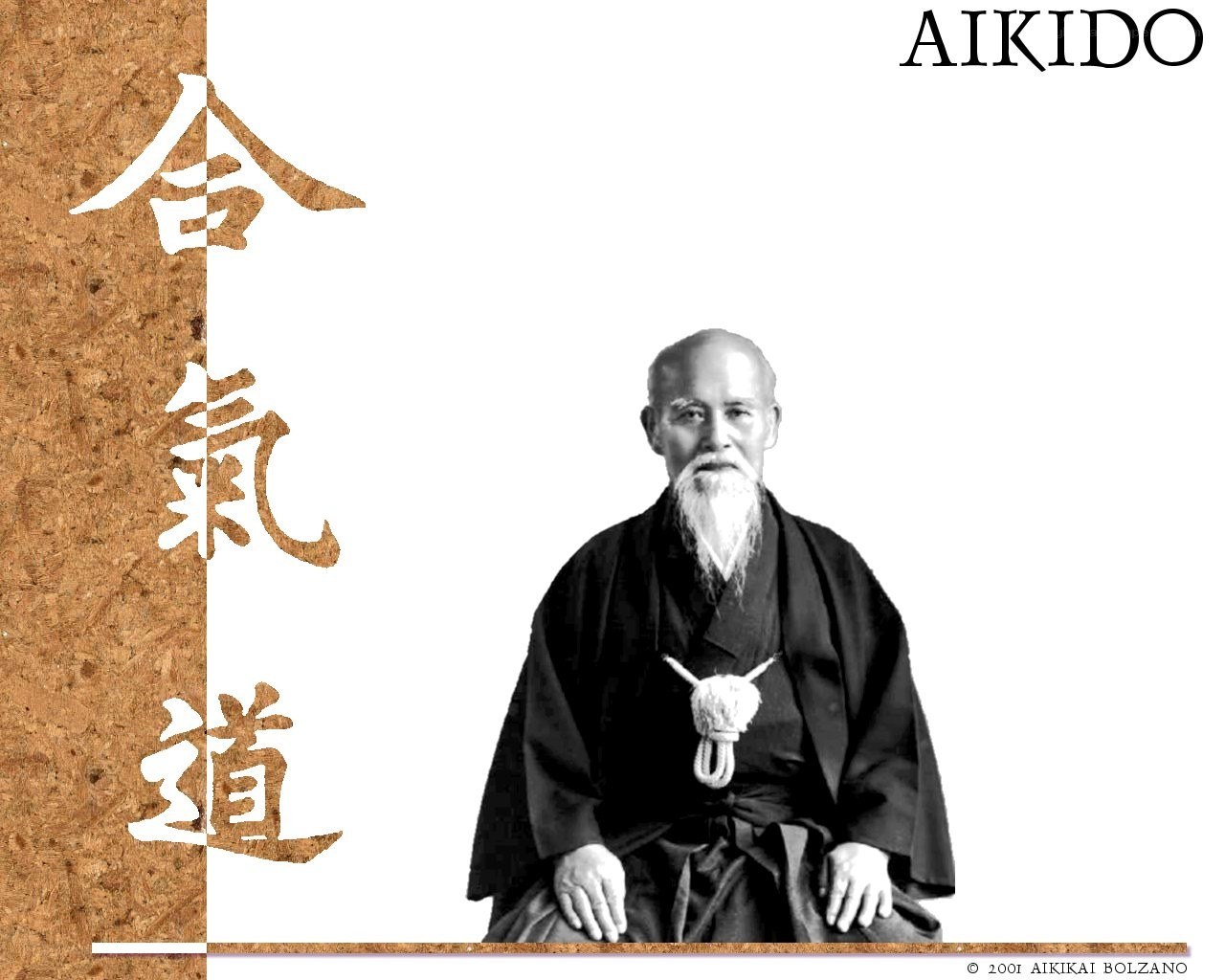 Aikido Founder Portrait