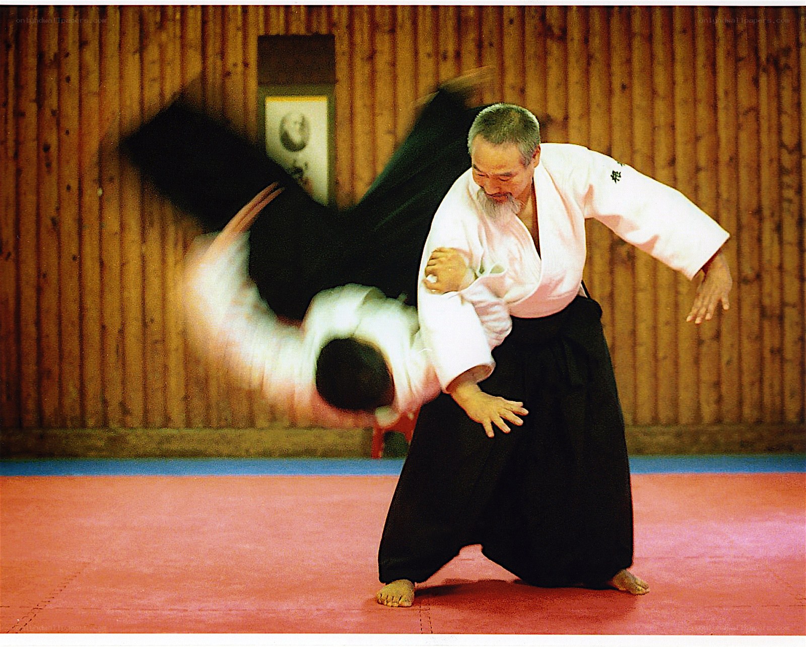 Aikido master performing a throw