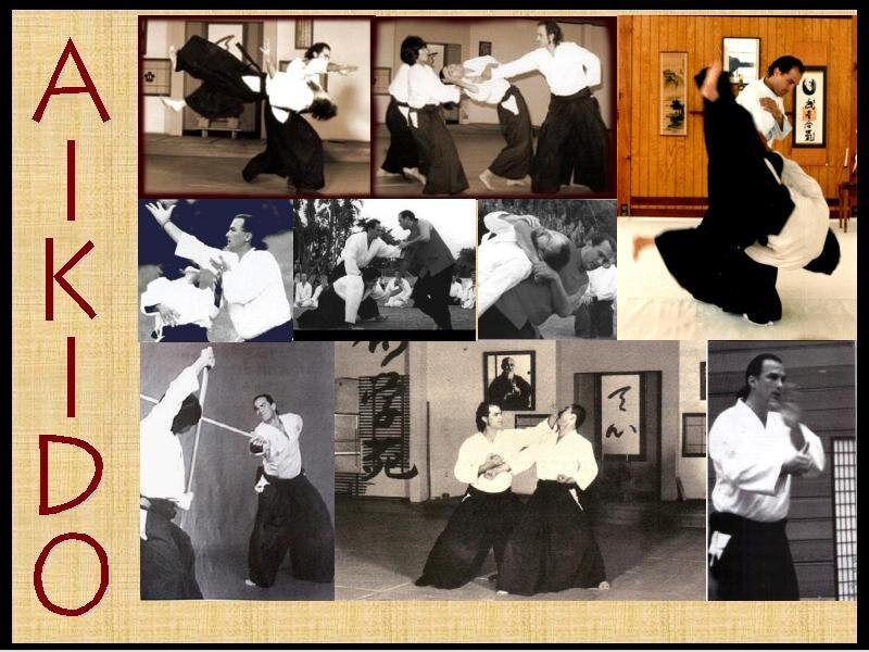 Aikido practice collage
