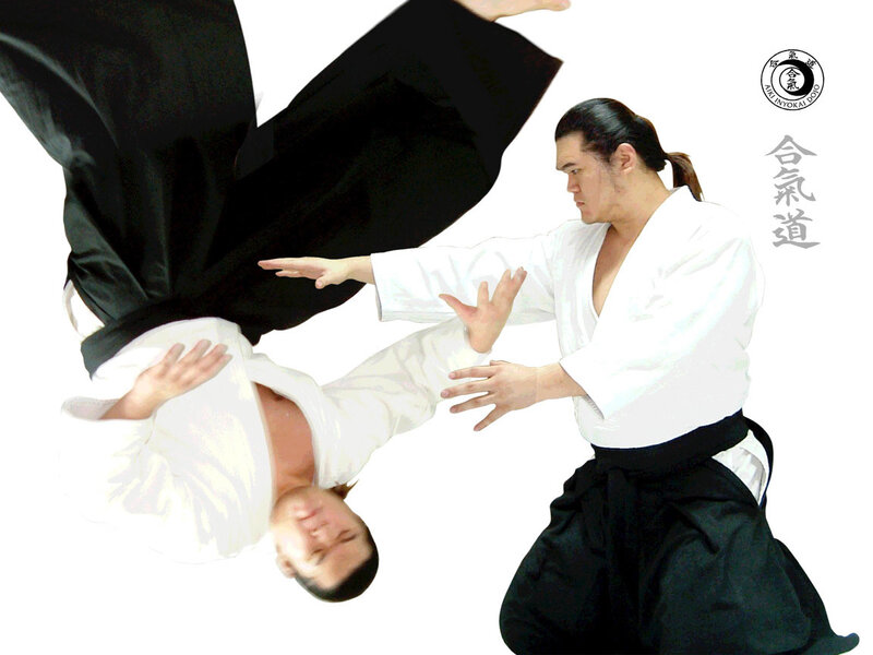 Aikido throw in action