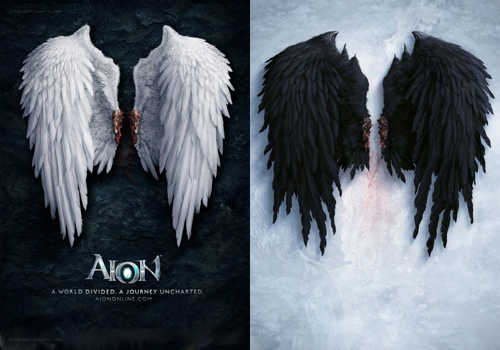 Aion: White and Black Wings