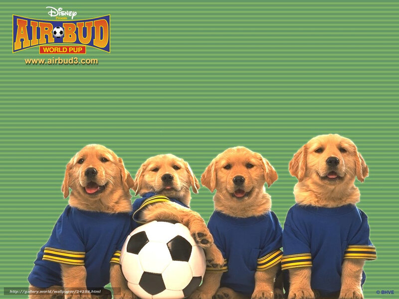 Air Bud: World Pup puppies