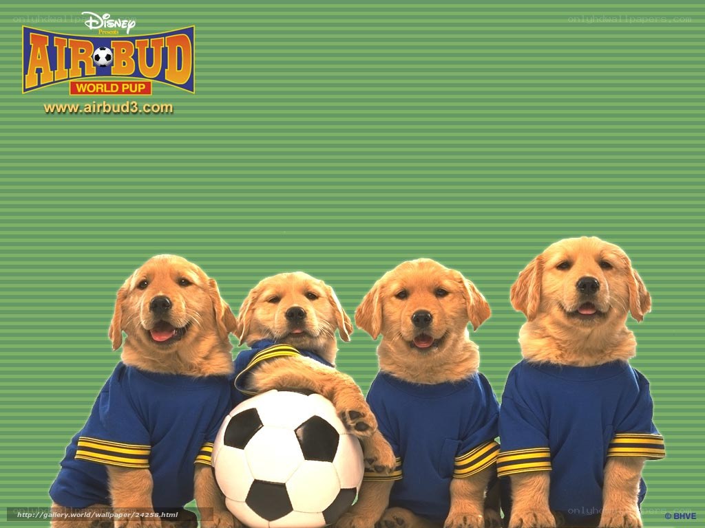 Air Bud: World Pup puppies