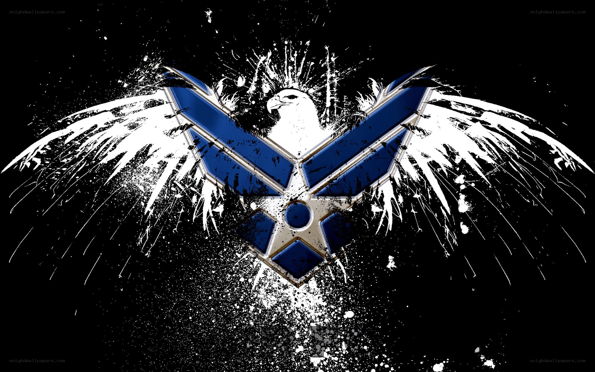 Air Force emblem with eagle