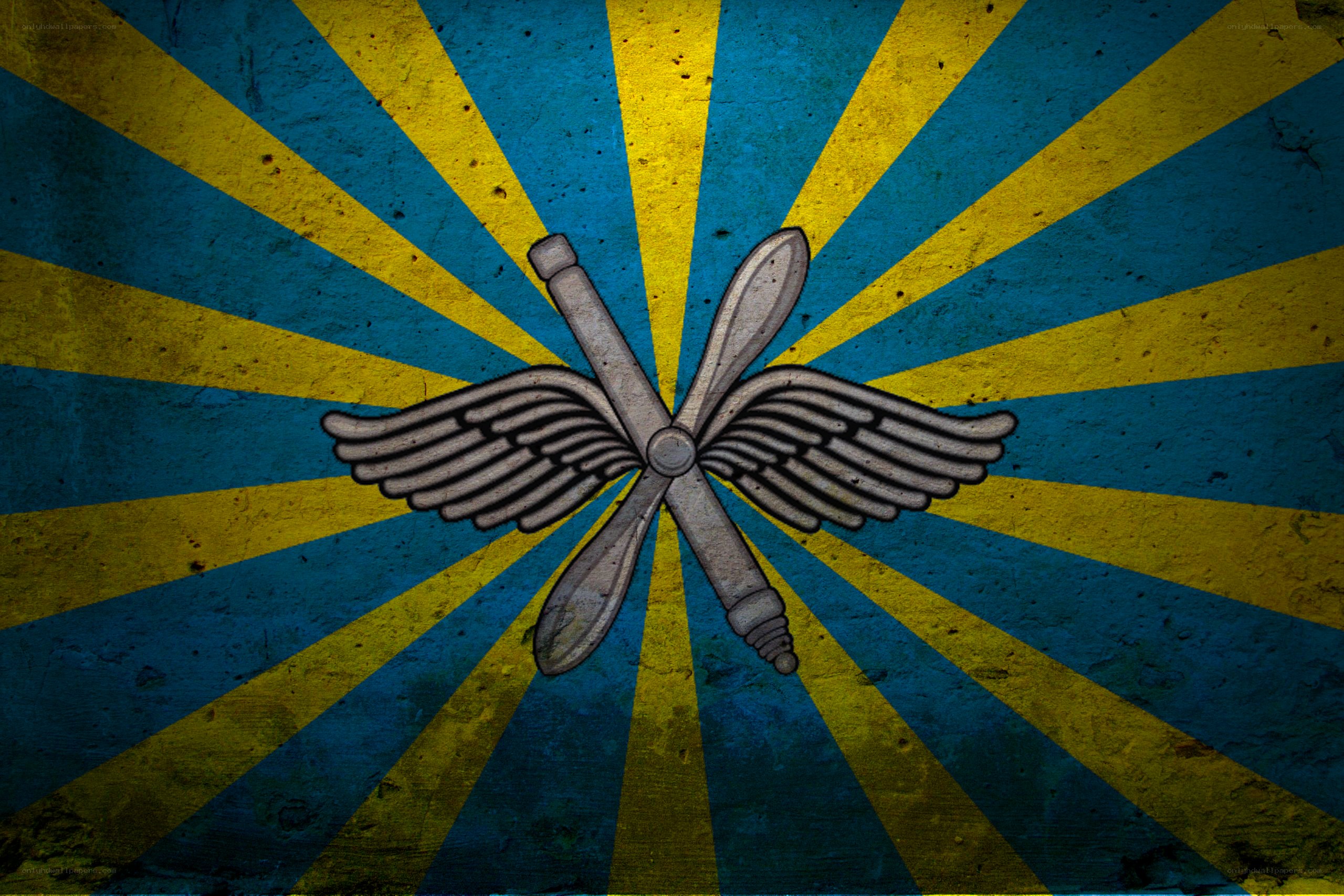air force insignia on sunburst background