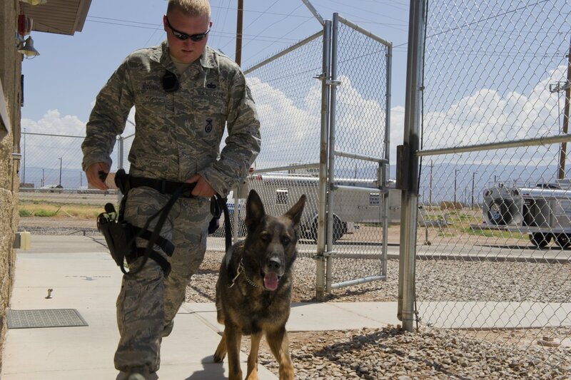 Air Force Member with Dog