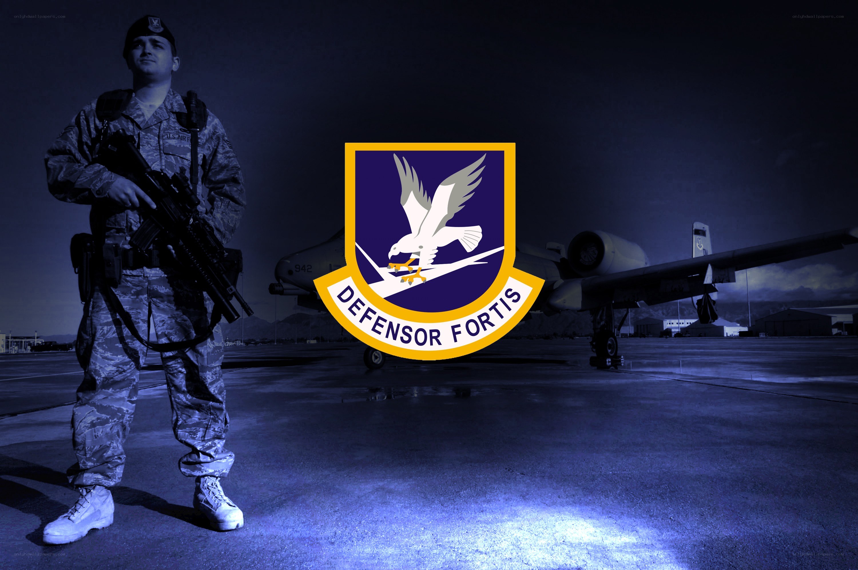 Air Force soldier with emblem