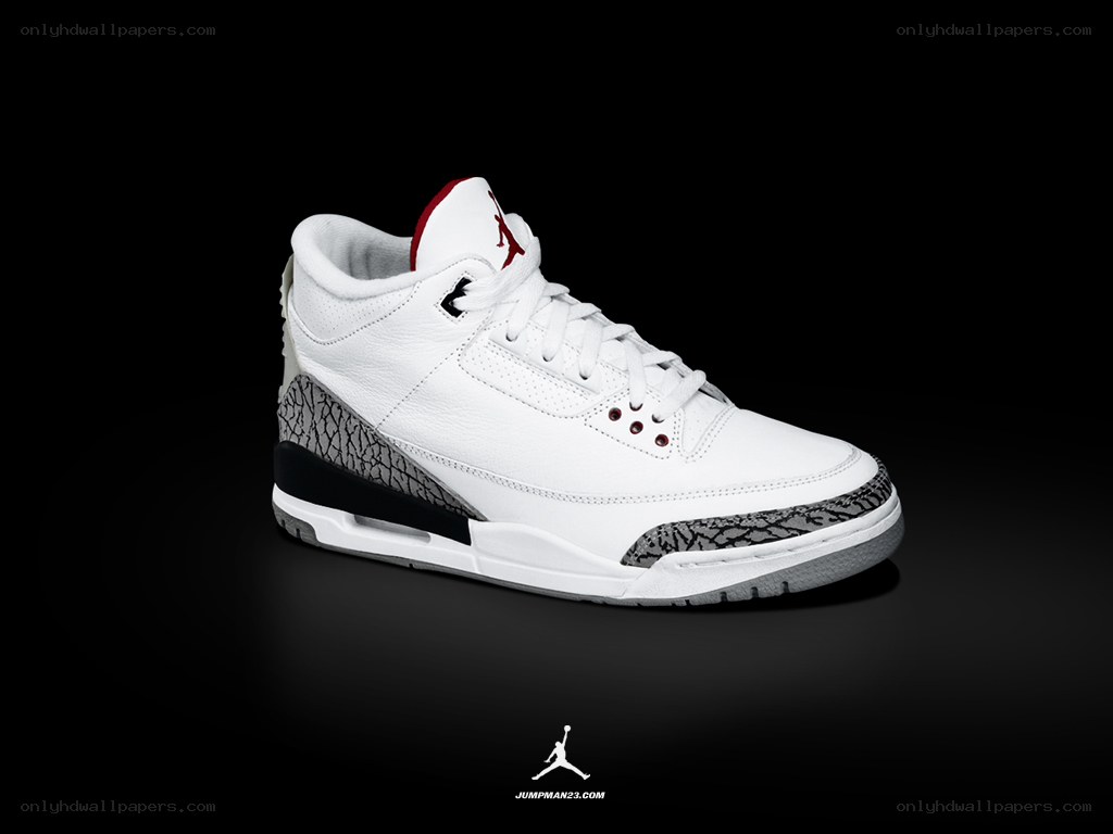Air Jordan 3 sneaker