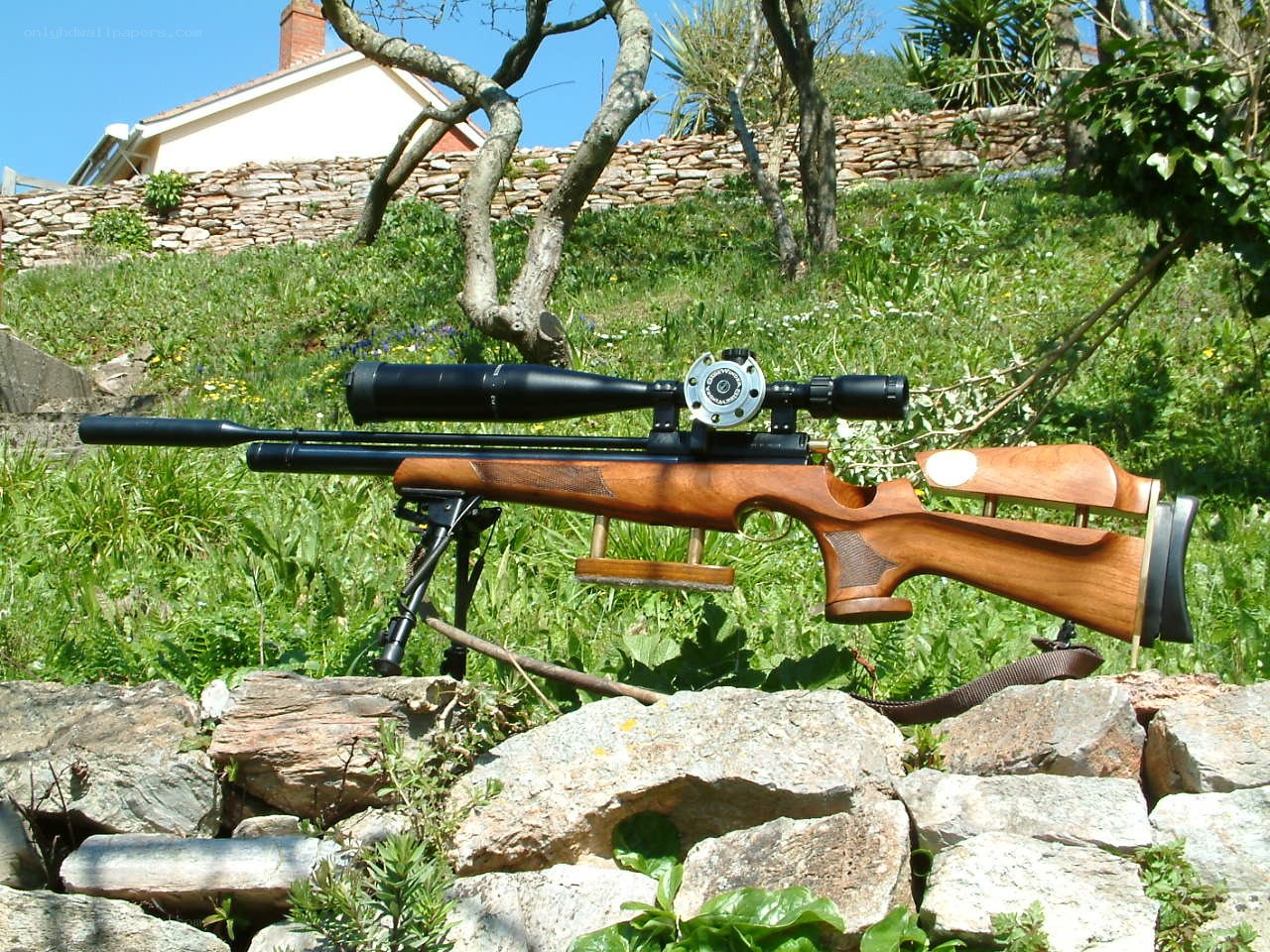 air rifle on a stone wall