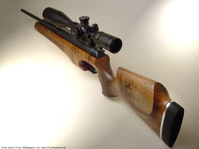 Air Rifle with Scope — Brown, Neutral, Photograph