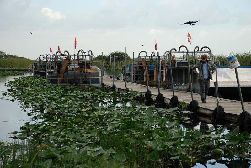 Airboats at a swamp dock