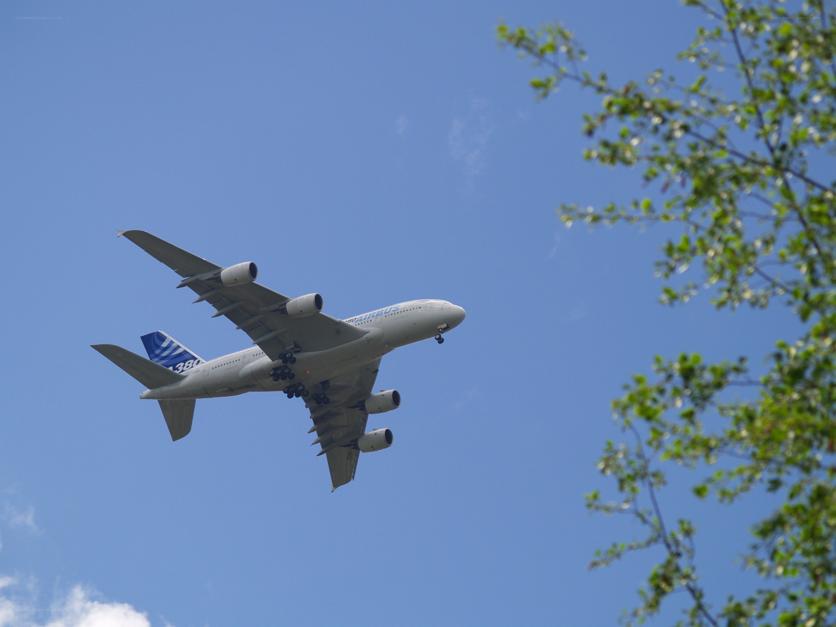 Airbus A380 in flight