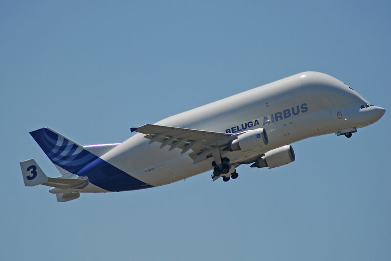 Airbus Beluga Aircraft — White, Calm, Afternoon