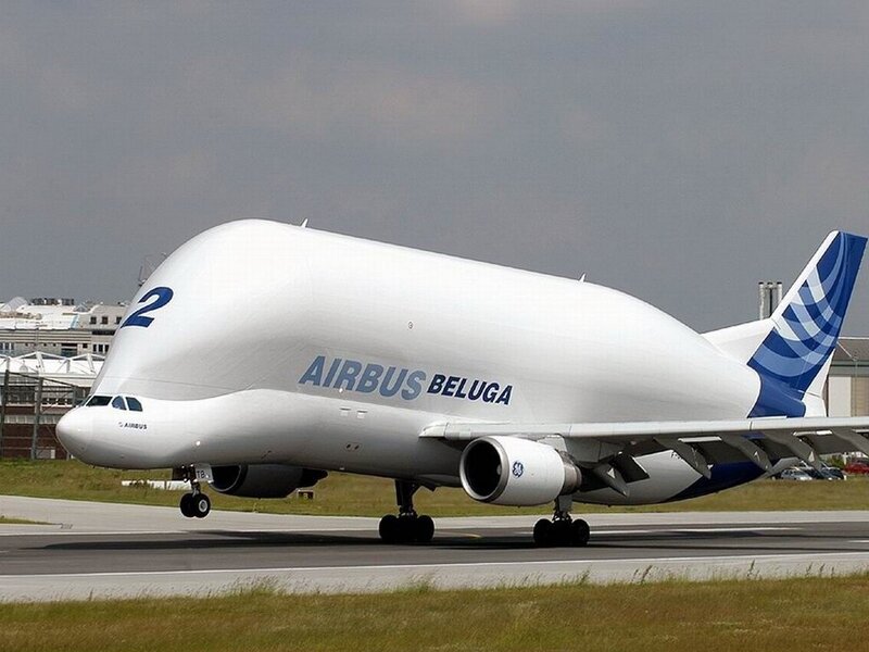 Airbus Beluga Aircraft — White, Neutral