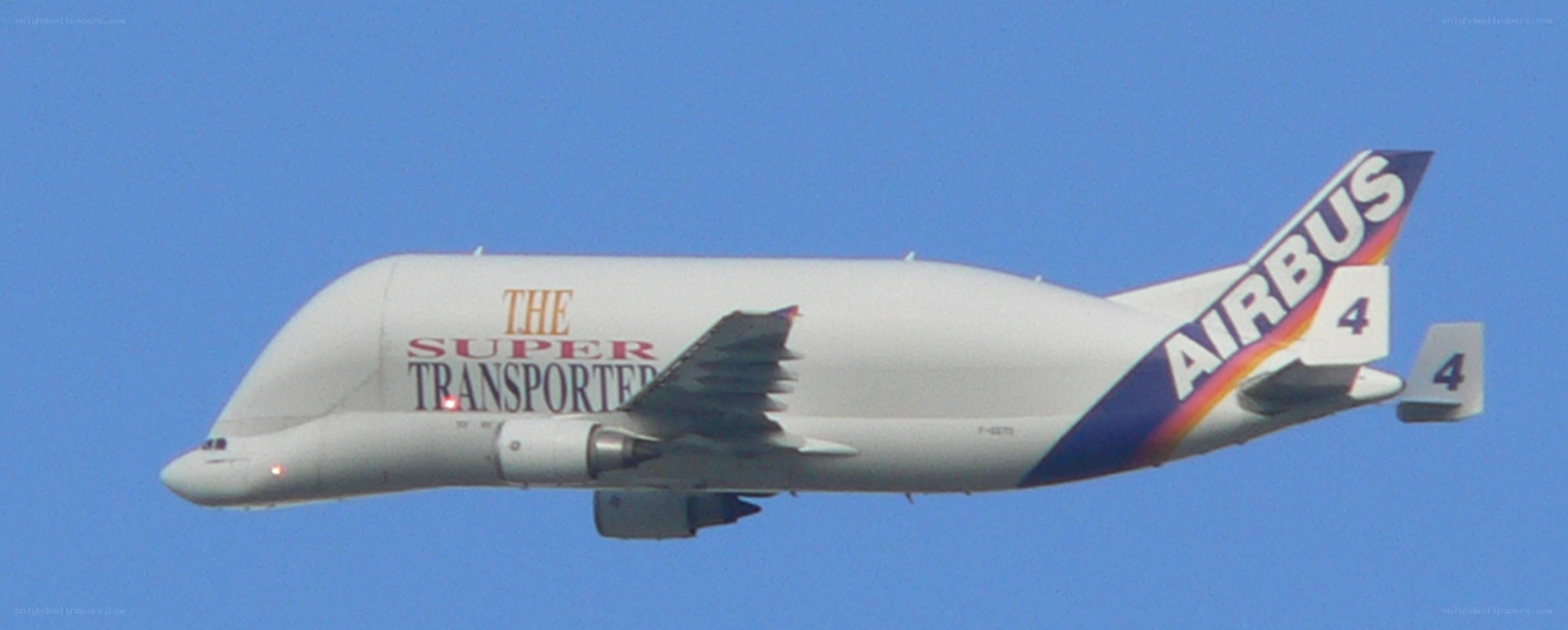 Airbus Beluga in flight