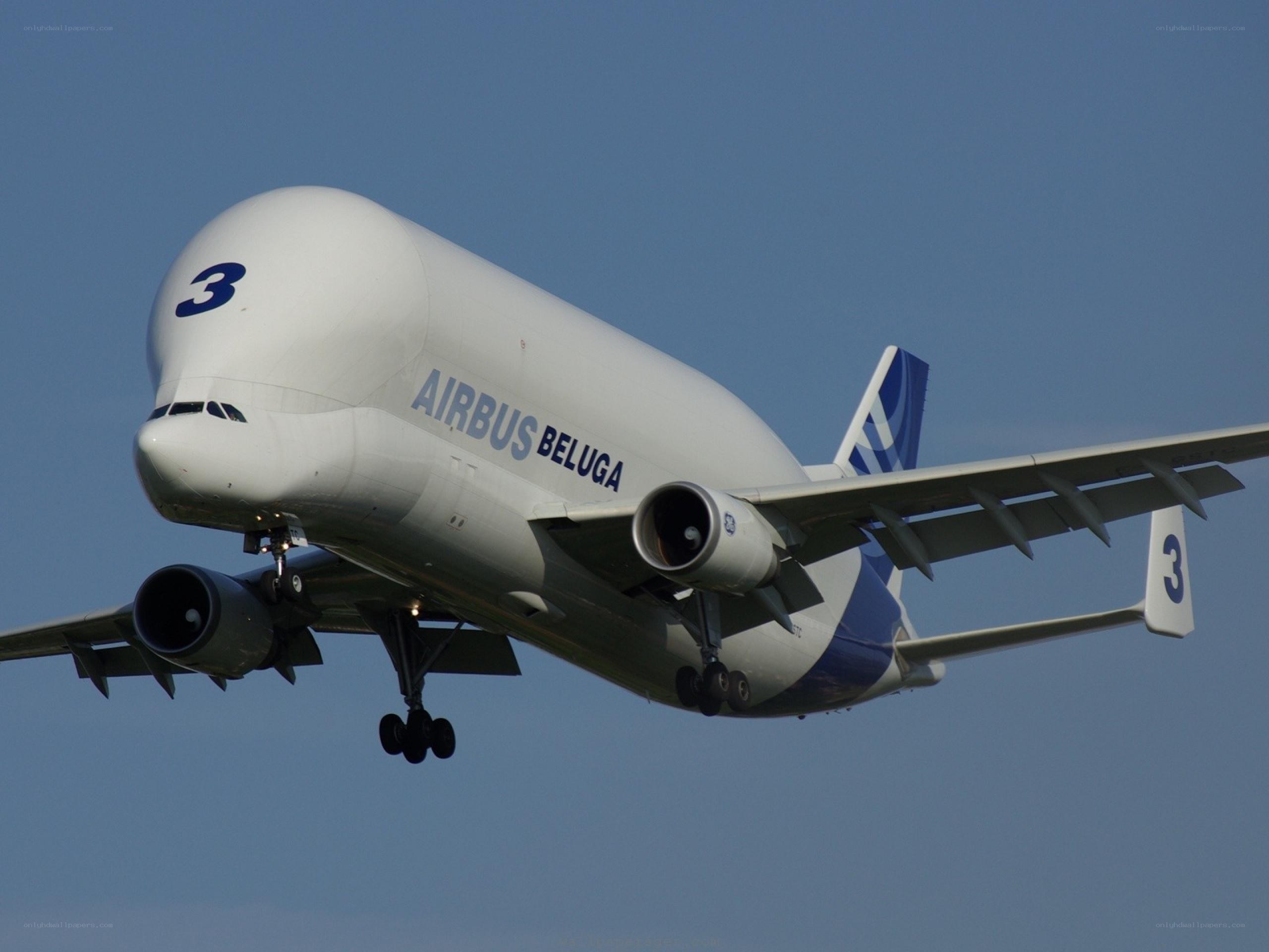 Airbus Beluga in flight